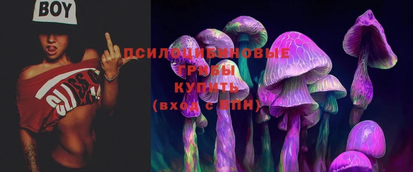 круглые Алагир