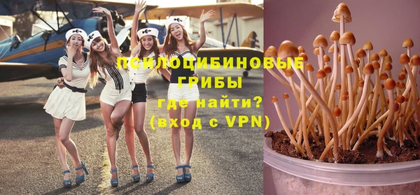 круглые Алагир